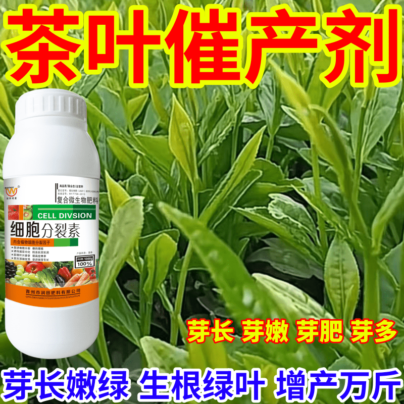 茶叶催产剂春茶早采芽长嫩茶叶催芽王强力催芽提前发芽增产促长剂