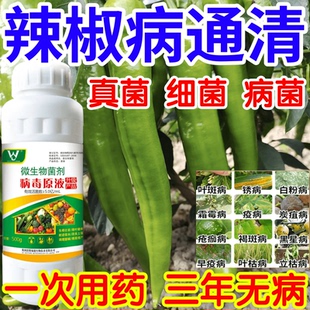 辣椒病通清黑星病立枯病疫病锈病果树蔬菜花卉生根壮苗增产杀菌剂