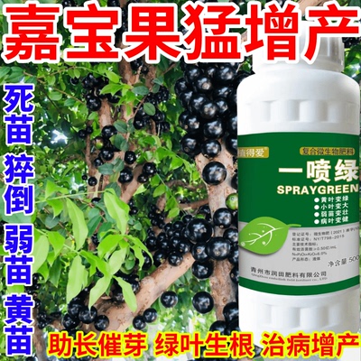 嘉宝果猛增产叶变绿叶蔬菜花卉果树死苗通用烂根黄叶专用叶面肥料