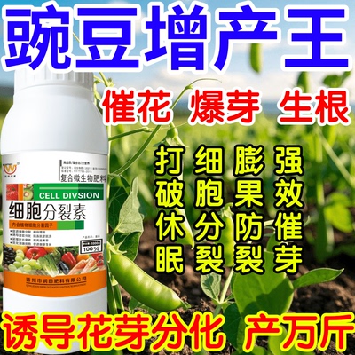 豌豆增产王打破休眠加速细胞分裂膨果防裂强效催芽果树蔬菜叶面肥