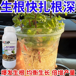 生根快扎根深根剂移栽树木营养液快速生根复活神器强力生根壮苗剂