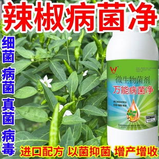 辣椒病菌净蔬菜花卉稻瘟病病毒白粉病灰霉病锈病病害清一喷清