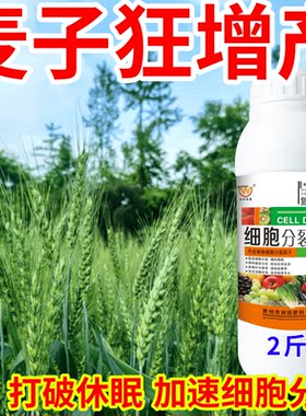 麦子狂增产果树叶面肥爆芽素促花芽分化增产增收催芽剂细胞分裂素