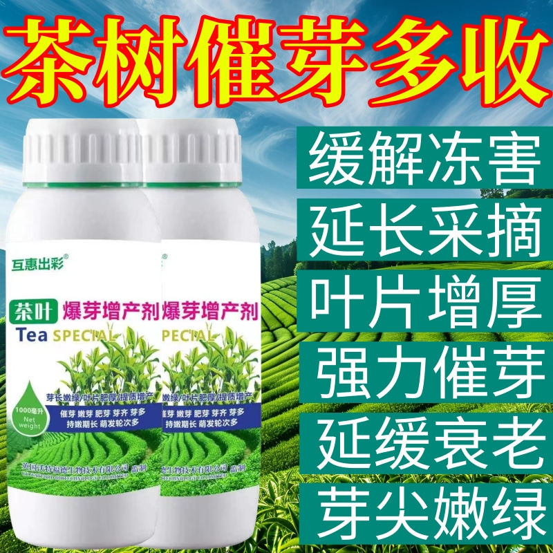 茶树催芽多收素专用叶面肥爆新芽剂强力催芽增产促长促花芽叶面肥