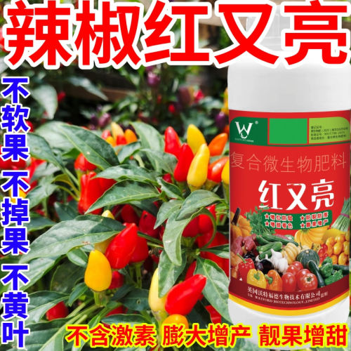 辣椒红又亮级版红又亮微生物肥料增红增甜膨果防裂上蜡除锈剂