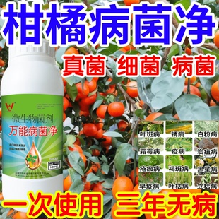 柑橘病菌净白粉病灰霉病锈病绿植花卉果树蔬菜病害清一喷清杀菌剂