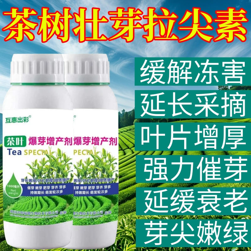 茶树壮芽拉尖素专用叶面肥爆新芽剂强力催芽增产促长促花芽叶面肥