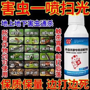 害虫一喷扫光上地下害虫通杀杀虫杀卵果树蔬菜花卉助剂生物溶解剂