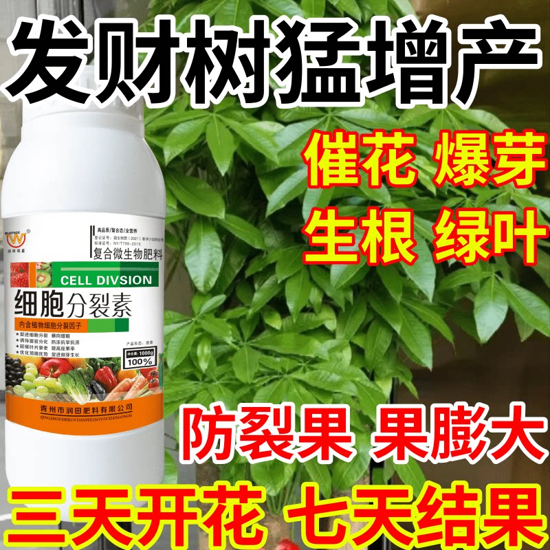 发财树猛增产速细胞分裂膨果防裂强效催芽爆芽果树蔬菜花卉叶面肥