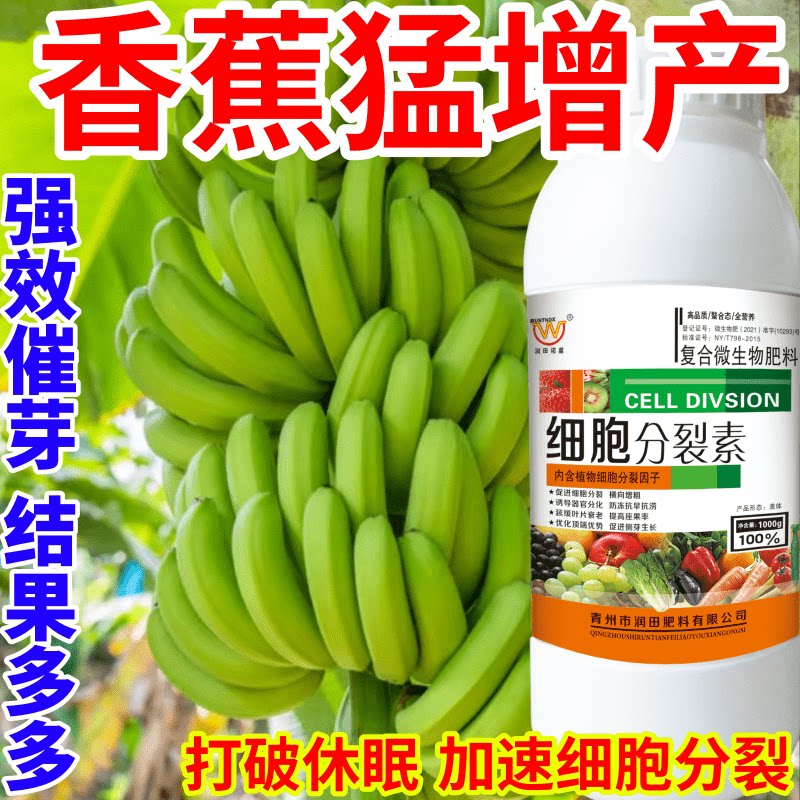 香蕉猛增产进口植物营养液催芽促芽生长激素促生长保花保果叶面肥