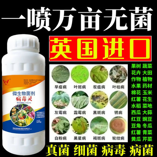 一喷万亩无菌灵果树蔬菜花卉杀菌剂锈病炭疽病叶斑病霜霉病叶斑病