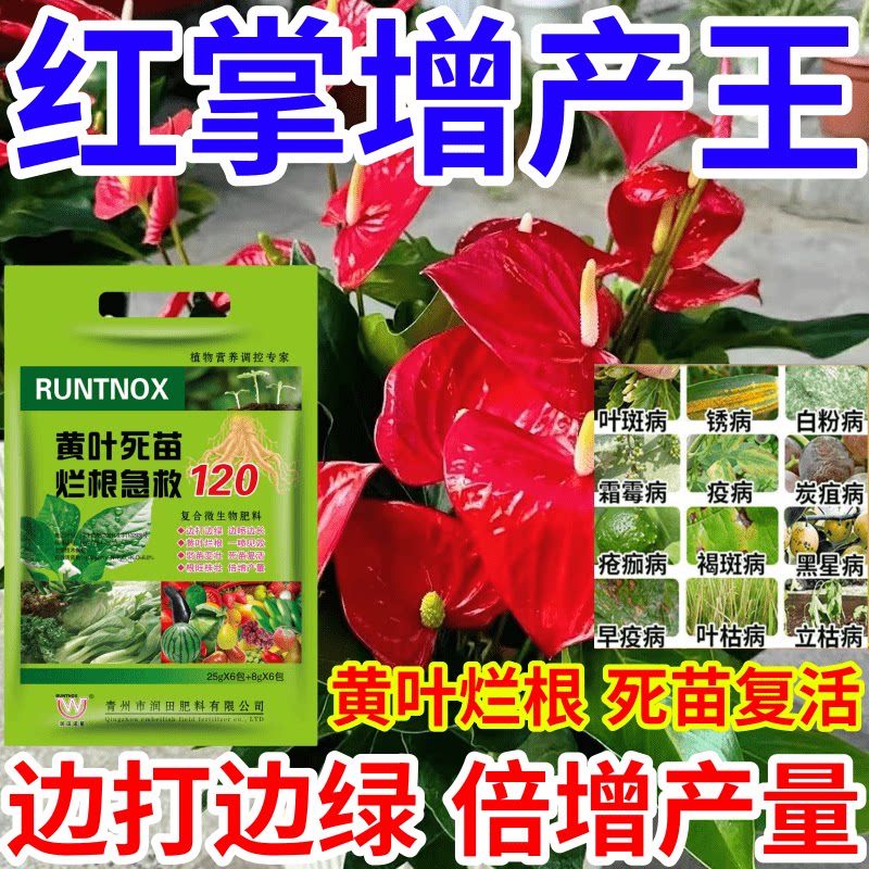 红掌增产王黄叶死苗烂根根腐猝倒一喷复活倍增产量边打边绿叶面肥