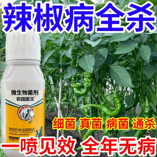 辣椒病全杀微生物菌剂肥料专治作物菌核病软腐通用农田医生叶面肥