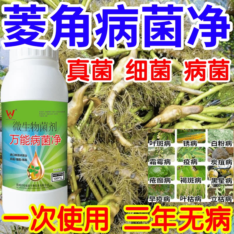 菱角病菌净白粉病灰霉病锈病绿植花卉果树蔬菜病害清一喷清杀菌剂