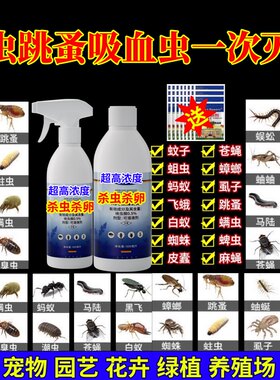 臭虫跳蚤吸血虫一次灭净强效通杀地上地下公共场所杀虫杀卵宠物虫