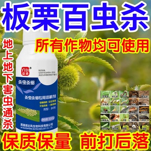 板栗百虫杀地上地下害虫通杀果树蔬菜花卉杀虫杀卵助剂生物溶解剂