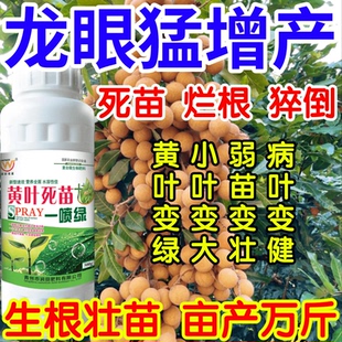 龙眼猛增产猝倒根腐弱苗枯萎黄叶死苗一喷就绿果树蔬菜花卉叶面肥
