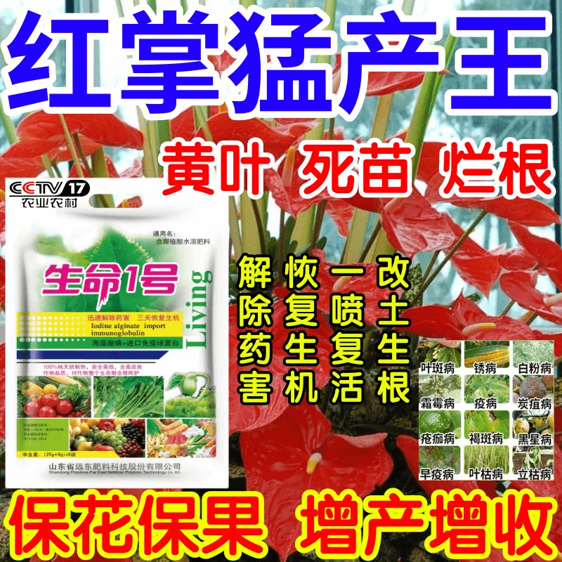 红掌猛产王黄叶死苗烂根根腐一喷复活果树蔬菜花卉生根绿叶叶面肥