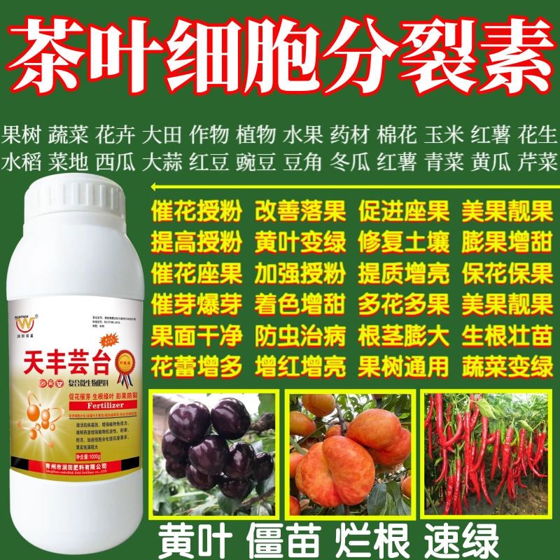 茶叶细胞分裂素座果提高座果率保花保果增产增收植物蔬菜叶面肥料