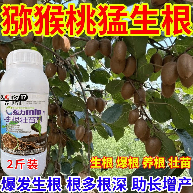 猕猴桃猛生根壮苗剂速效生根液大树移植苗木扦插果树蔬菜生根剂