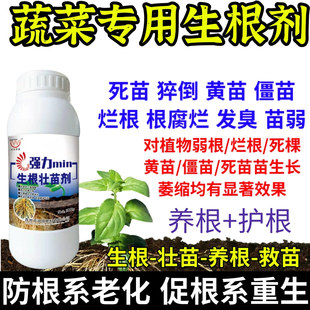 蔬菜专用生根剂生根养根护生根原液快速生根剂正品强力养根发根剂