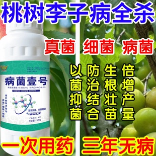 桃树李子病全杀抑菌病菌壹号生根绿叶生物防治果树蔬菜花卉杀菌剂