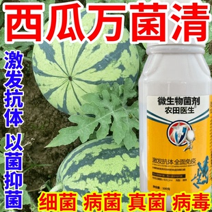 西瓜万菌清疽病轮斑病叶枯病叶斑疫病果蔬花卉水稻死苗烂根猝倒