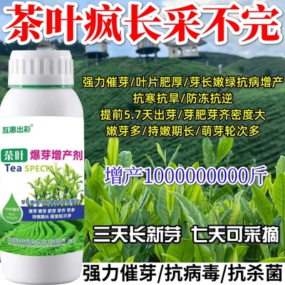 茶叶疯长采不完芽嫩芽厚芽壮增产抗寒抗旱抗病茶叶专用催芽营养