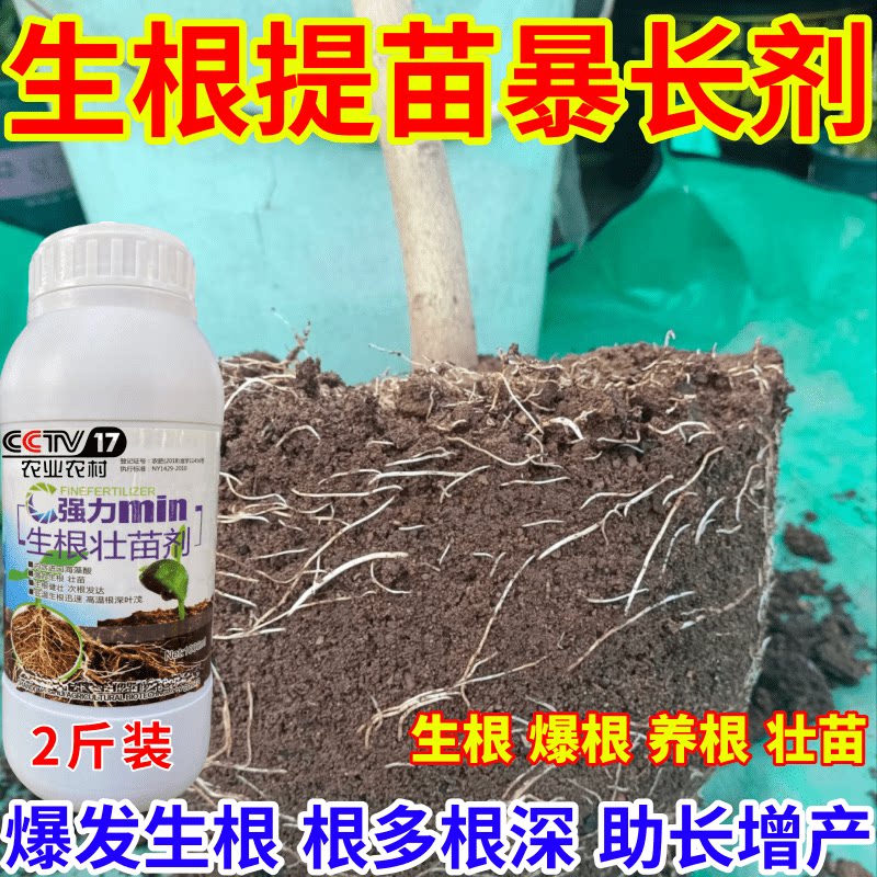 生根提苗暴长剂剂速效生根液大树移植苗木扦插果树蔬菜生根剂