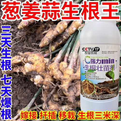 葱姜蒜生根王力生根粉生根剂壮苗发根生根剂扦插移栽通用水溶肥料
