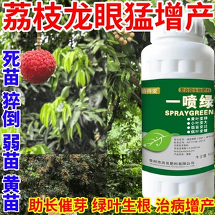 荔枝龙眼猛增产变绿叶蔬菜花卉果树死苗通用烂根黄叶专用叶面肥料