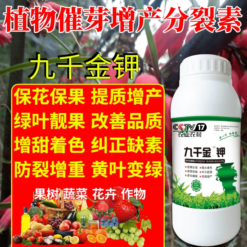 植物催芽增产分裂素叶面肥九千金催花素多花多果素九百金促花肥料