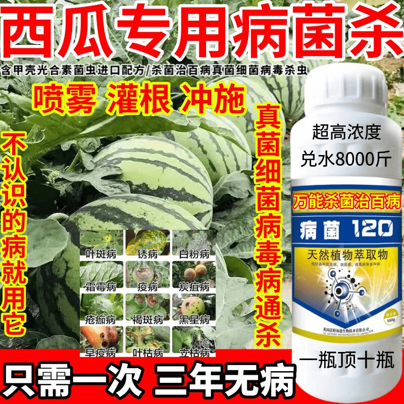 西瓜专用病菌杀植物病害克星真细菌病毒病进口杀菌剂疫病药