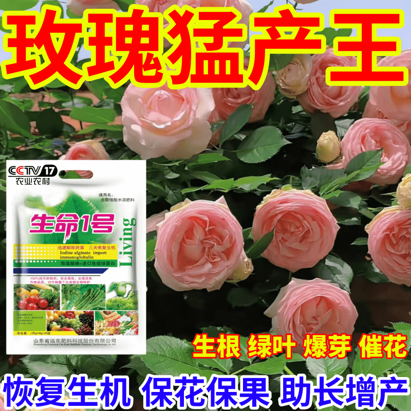 玫瑰猛产王僵苗矮化枯萎烂根一喷复活果树蔬菜叶面水溶肥有机肥料
