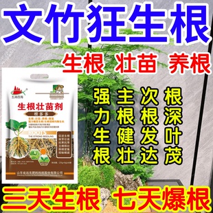 文竹狂生根根深叶茂主根健株次根发达果树蔬菜花卉爆根生根壮苗剂