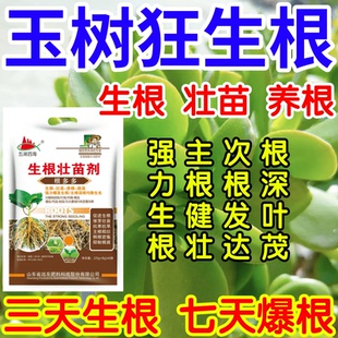 玉树狂生根根深叶茂主根健株次根发达果树蔬菜花卉爆根生根壮苗剂