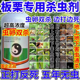 板栗专用杀虫剂蓟马蚜虫专用虫卵双杀果树蔬菜花卉通用农药杀虫剂