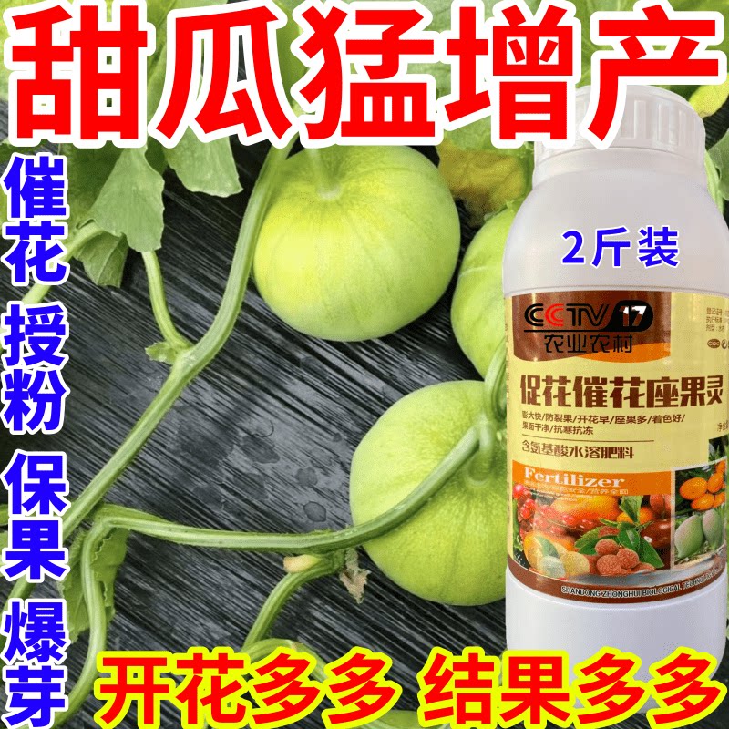 甜瓜猛增产果肥壮花壮果座果精防落素果树瓜果蔬菜授粉膨大叶面肥