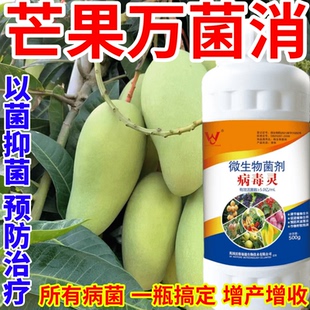 芒果萬菌消菜花卉抗重茬防治銹病炭疽病葉斑病霜霉病葉斑病
