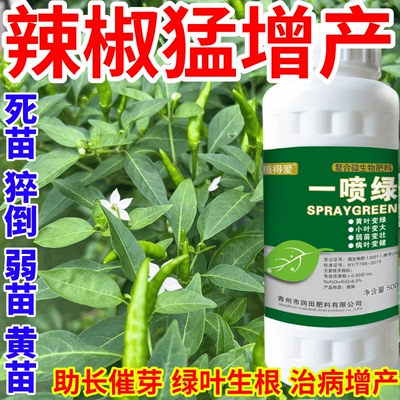 辣椒猛增产黄叶变绿叶蔬菜花卉果树死苗通用烂根黄叶专用叶面肥料