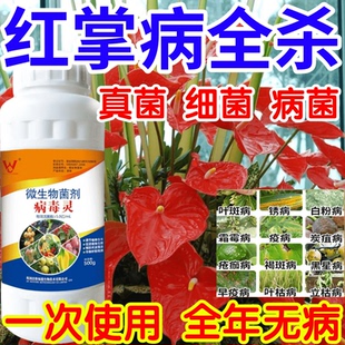 红掌病全杀叶斑病霜霉病疫病以菌抑菌杀菌广谱果树蔬菜花卉杀菌剂