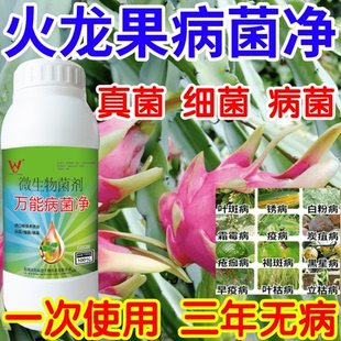 火龙果病菌净粉病灰霉病锈病绿植花卉果树蔬菜病害清一喷清杀菌剂