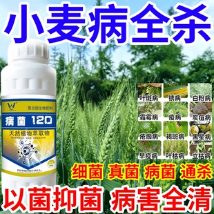 小麦病全杀细菌真菌病毒通杀杀菌剂霜霉病蔬菜果树白粉病病菌120