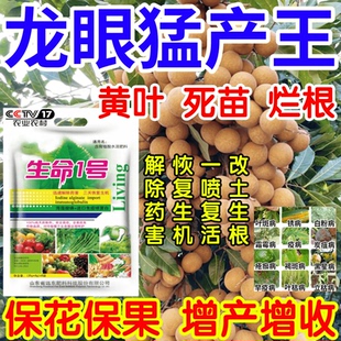 龙眼猛产王黄叶死苗烂根根腐一喷复活果树蔬菜花卉生根绿叶叶面肥