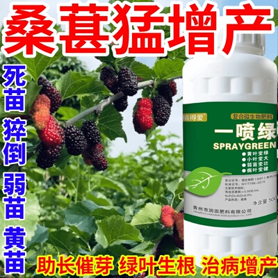 桑葚猛增产黄叶变绿叶蔬菜花卉果树死苗通用烂根黄叶专用叶面肥料