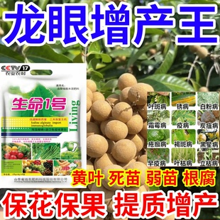 龙眼增产王黄叶死苗僵苗烂根猝倒果树蔬菜花卉水溶叶面肥有机肥料