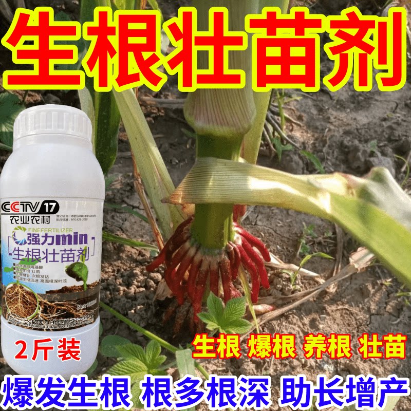 生根壮苗剂生根壮苗剂速效生根液大树移植苗木扦插果树蔬菜生根剂