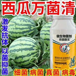 西瓜万菌清疽病轮斑病叶枯病叶斑疫病果蔬花卉水稻死苗烂根猝倒