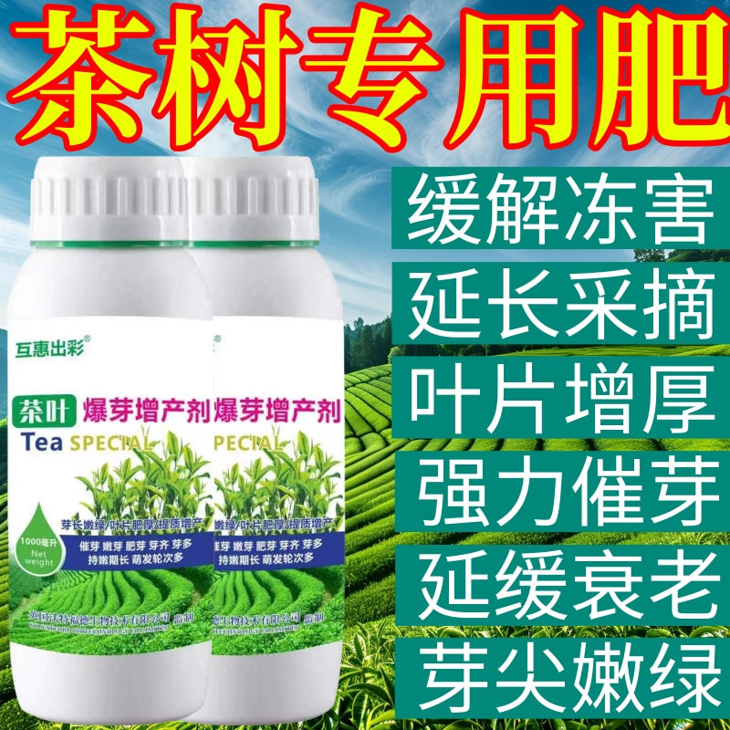 茶树专用肥芽素专用叶面肥爆新芽剂强力催芽增产促长促花芽叶面肥
