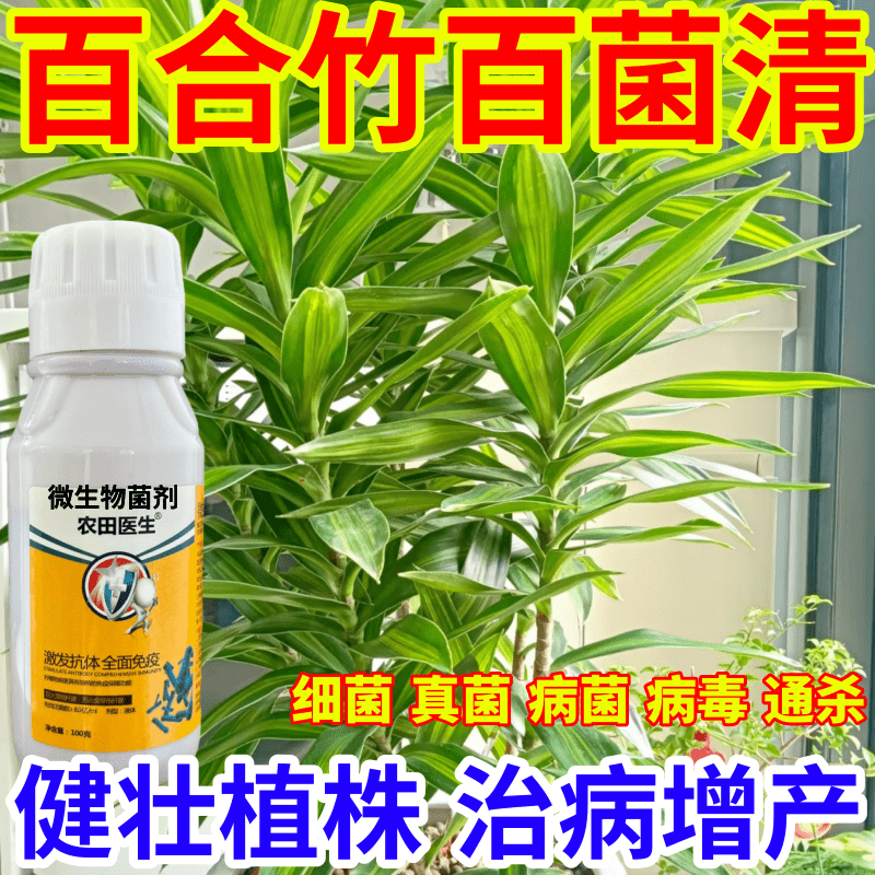 百合竹百菌清毒菌病微生物菌剂农田医生果树蔬菜花卉霜霉病炭疽病